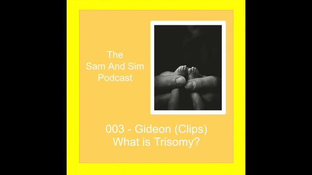 003 SSPod Clips - Trisomy смотреть онлайн
