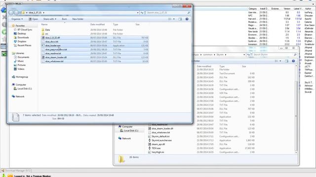 How To Install SKSE For Skyrim