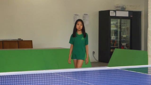 Kung Fu Ping Pong 2016 AACCT смотреть онлайн