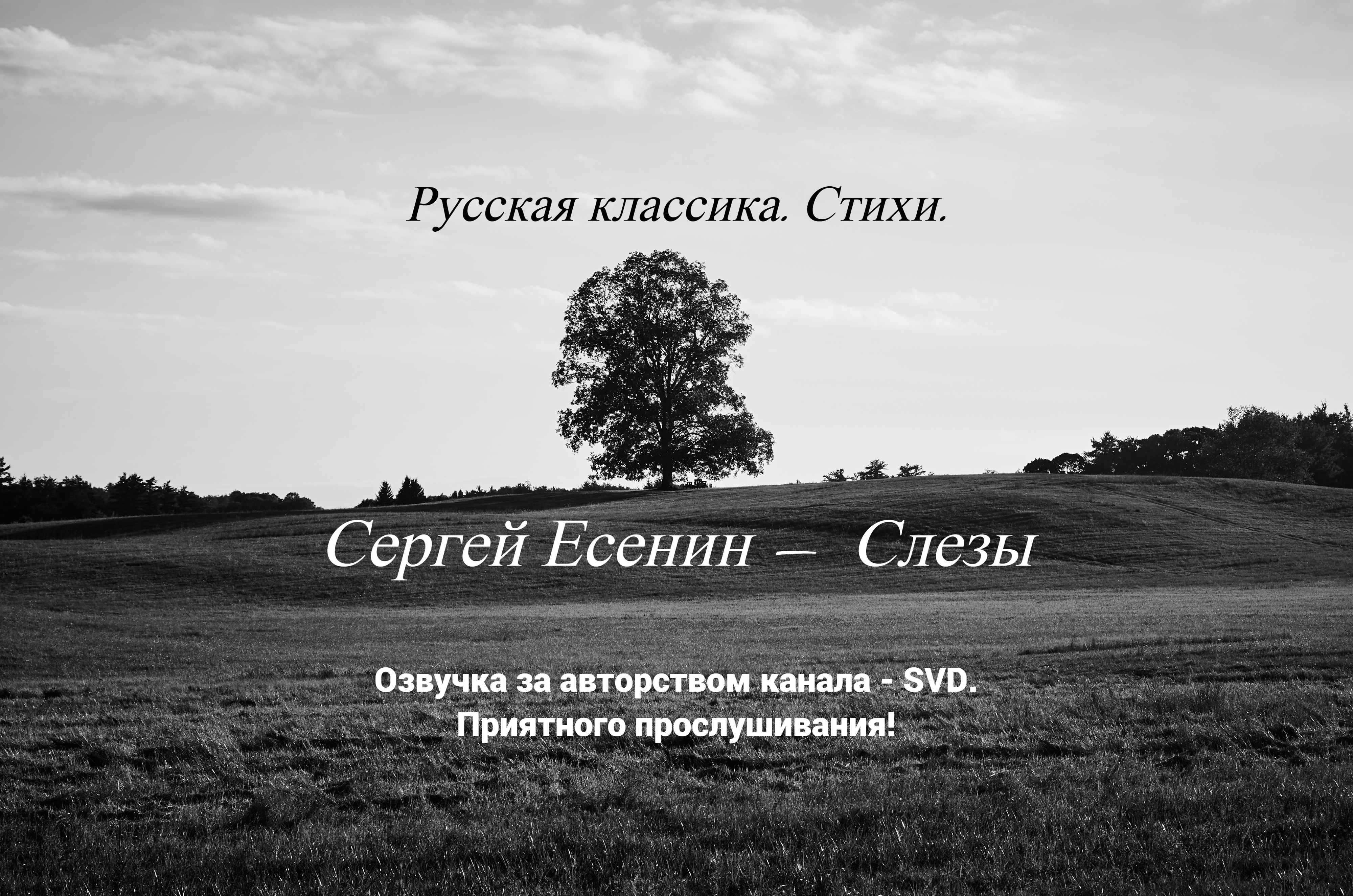 Русская классика. Стихи. — Сергей Есенин — Слезы ? смотреть онлайн
