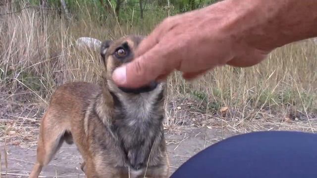 01_09_2020_Коротенькая велопрогулка.mp4 смотреть онлайн