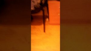 Как вызвать Джина Желаний (Правда или Фейк); )