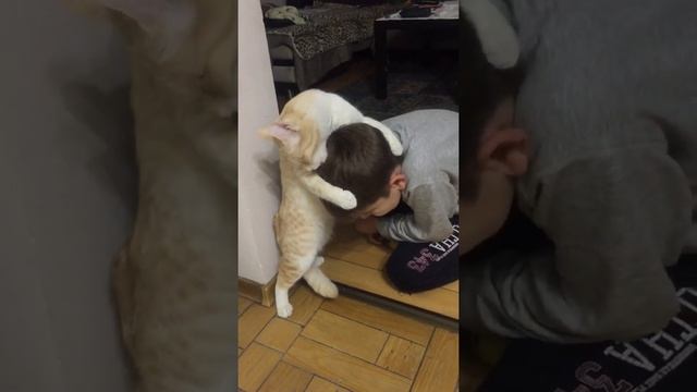 Если ребёнок не хочет мыть голову можно попросить вашего питомца ему помочь