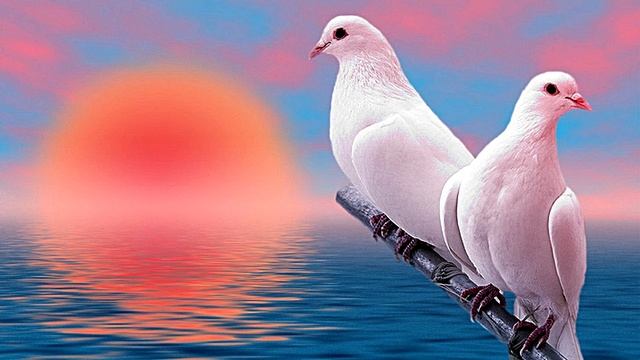 Лучшее для души!!! Современная классическая музыка! Дмитрий Метлицкий "Только ты"/Classiсal music смотреть онлайн