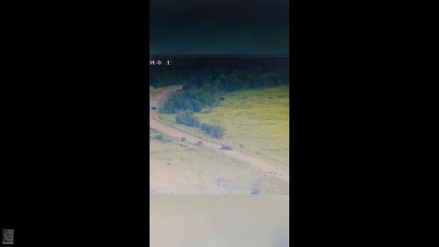 Десантники массово уничтожают врага на подступах к Артёмовску смотреть онлайн