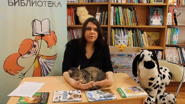 "Про Хвоста, 17 кошек и 650 собак: Как стать хозяином?": разговариваем с Мариной Селезневой. Вып. 2 смотреть онлайн