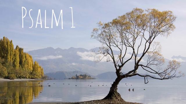 Psalm 1 // Псалом 1 смотреть онлайн