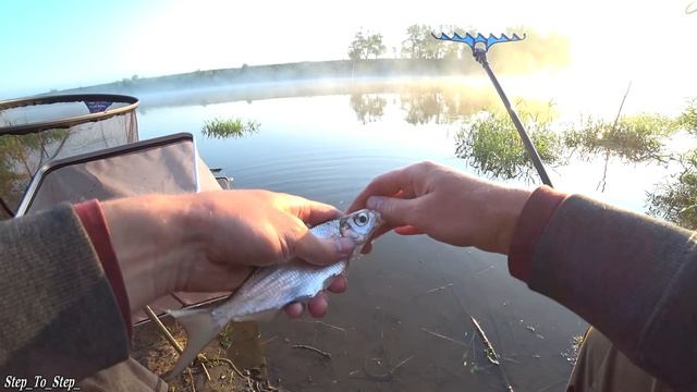 С НОЧЕВКОЙ на реке. РЫБАЛКА на фидер в июне 2020. смотреть онлайн