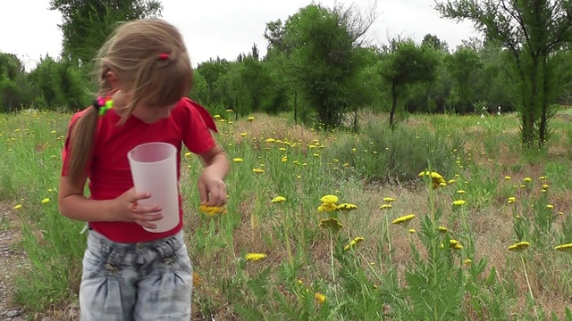 Видеоклип "ЛЕТО" смотреть онлайн