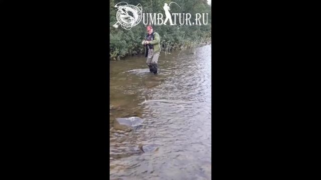 Семга на протоках Умбы смотреть онлайн