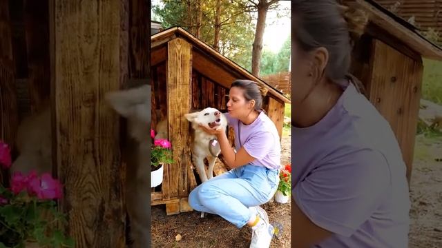 СОБАЧИЙ ДОМИК В СТИЛЕ ПОП-ИТ! ?? КРУТЫЕ ПОДЕЛКИ И ЛАЙФХАКИ ОТ УМНЫХ ВЛАДЕЛЬЦЕВ ДОМАШНИХ ЖИВОТНЫХ! смотреть онлайн