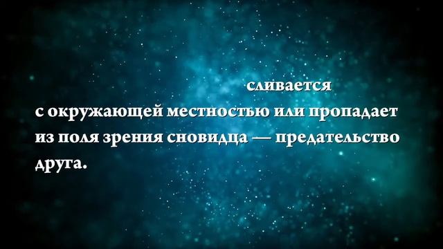 К чему снится медведь, который нападает - Онлайн Сонник Эксперт смотреть онлайн