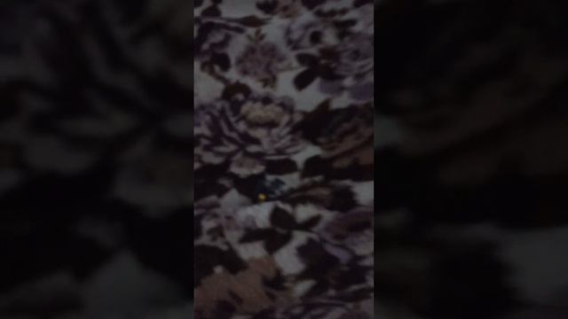 Мир они и драконов. смотреть онлайн