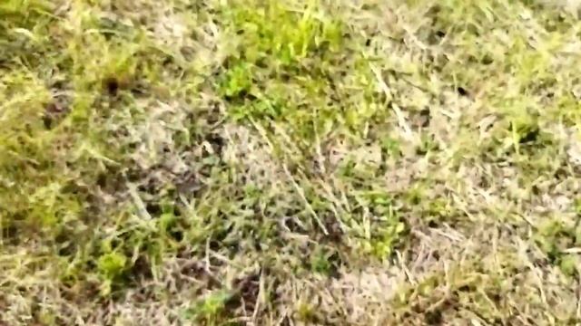 Хроники копа 16.09.2022, Переяслав Хмельницкий смотреть онлайн