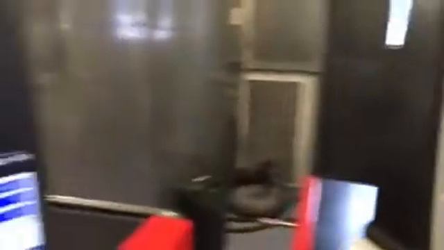 Subaru STI tuning- Tyler Mecklem смотреть онлайн