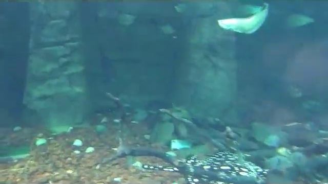 240623-0706 Владивосток