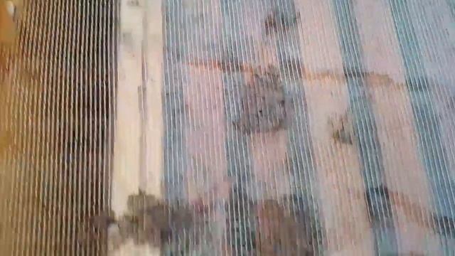 Моя верхняя вентиляция в ульях ППУ и подготовка к двух маточной зимовке в одном клубе в ППУ №1. смотреть онлайн