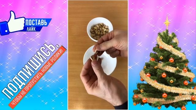 ФИСТАШКИ ЧИСТИМ ЛЕГКО смотреть онлайн
