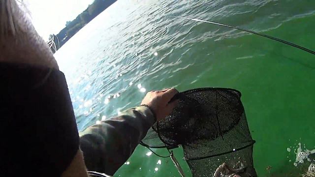 Плотва .мах . смотреть онлайн