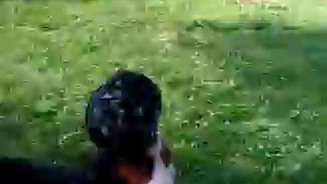 АЯКС. МЫ - Бернский Зенненхунд нам 1 ГОД!!!.3GP смотреть онлайн