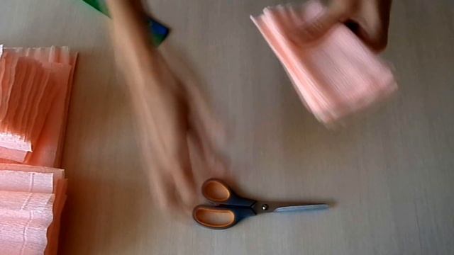 РОСТОВЫЕ ЦВЕТЫ. Огромный цветок ДЛЯ ФОТОСЕССИИ. Часть 1 смотреть онлайн