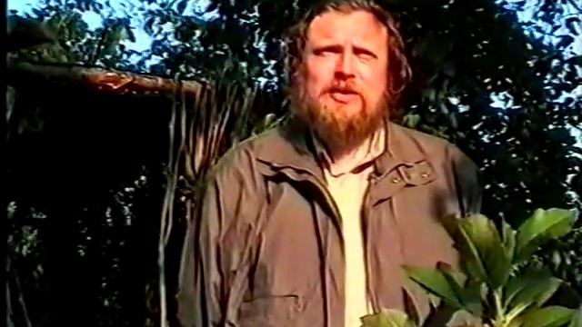 Шиповник. Целебные растения и их применение (Бабурин). смотреть онлайн