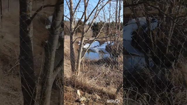 InShot_20220423_204601076.mp4