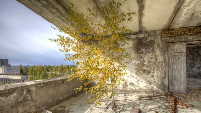 Autumn | Dark Ambient Mix смотреть онлайн
