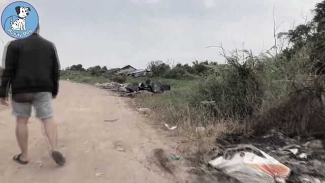 YouTube's Fake Animal Rescue Channels смотреть онлайн