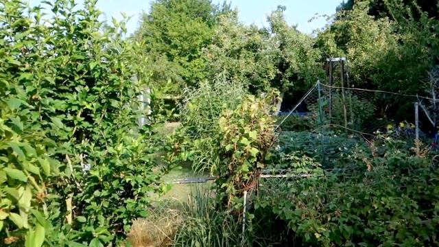 Дачи в Германии - это что- то ! смотреть онлайн