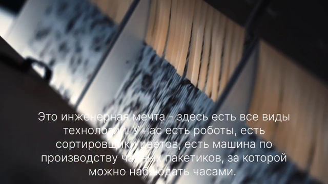 Ahmad Tea - Tea Factory