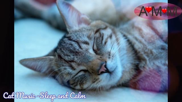 Musica Per GATTI. Calmare,  Rilassare E Far Dormire Il Tuo Gatto. FUNZIONA!!!!