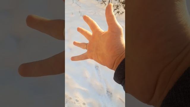 как быстро согреть руки? смотреть онлайн