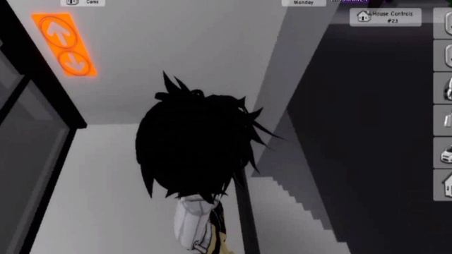 (Купил премиум Brookhaven) обзор на дома! смотреть онлайн