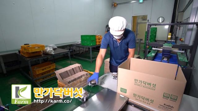 Korean Beech Mushroom смотреть онлайн
