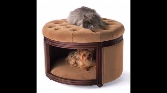 Прекрасные идеи для вашего маленького питомца ! Для собачки или котика ? смотреть онлайн