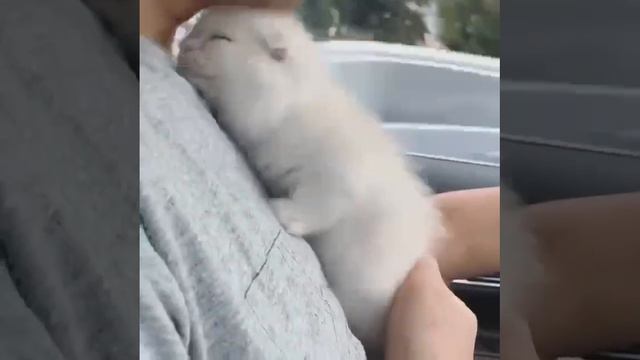 Облачко смотреть онлайн