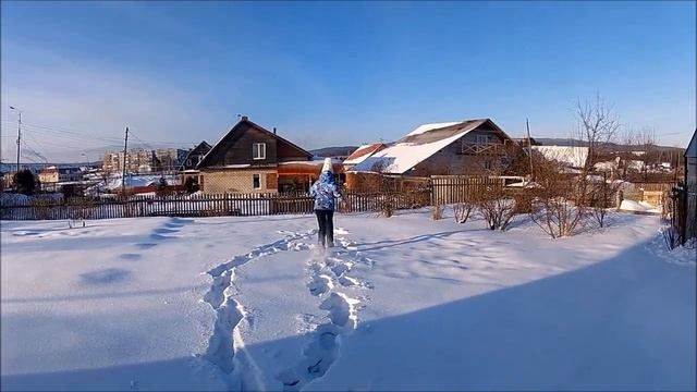 ШОК! КОШКА РОДИЛА|| 12 ЧАСОВ НА УЛИЦЕ смотреть онлайн