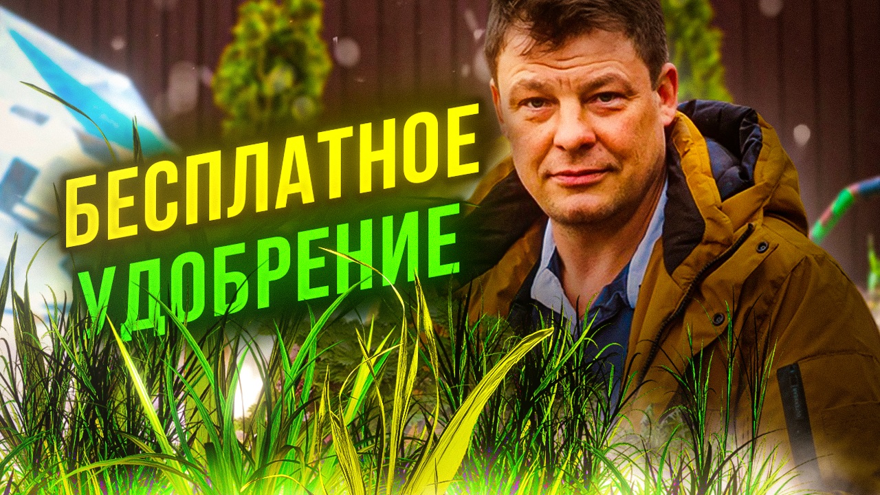 уже пора делать бесплатное удобрение - настой травы смотреть онлайн