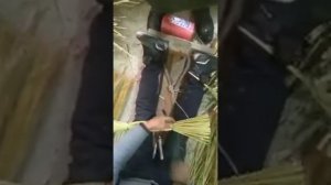 Веник сорго производство