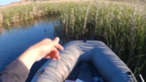 Рыбалка на поплавок с лодки в камышах. Не очень удачно