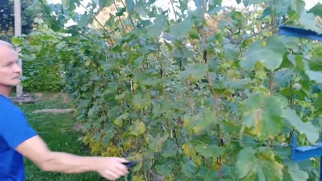 Строительные Перспективы