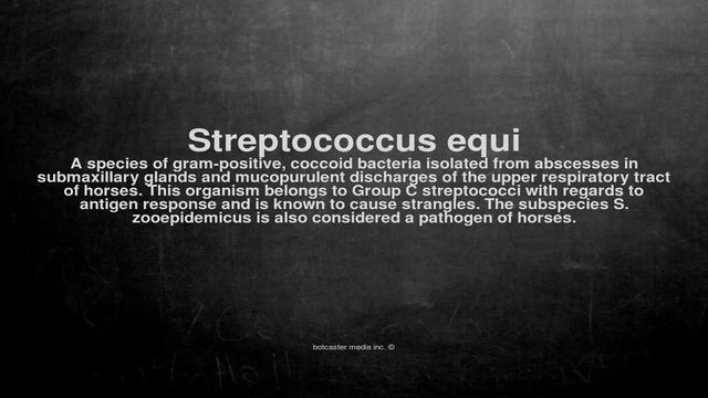 Medical vocabulary: What does Streptococcus equi mean смотреть онлайн