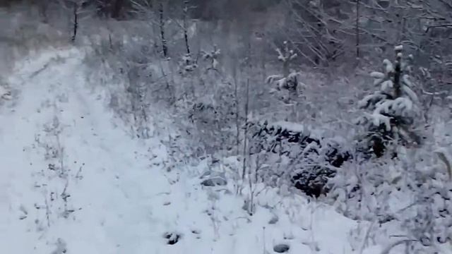 Поездка зимой в тайге на мотоцикле Урал смотреть онлайн