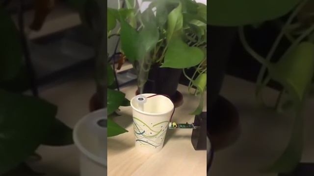 Ultrasonic Air Humidifier Circuit Board | Micro USB 5V Power | Mist Maker for incubator смотреть онлайн