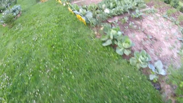 Летнее водоснабжение бани делаем правильно. смотреть онлайн