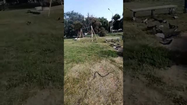 Детские площадки закрыли на замок в Новокузнецке смотреть онлайн