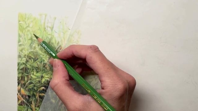 Working with coloured pencils: grass and foliage смотреть онлайн
