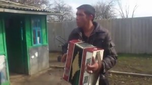 Цыган играет на баяне и поет