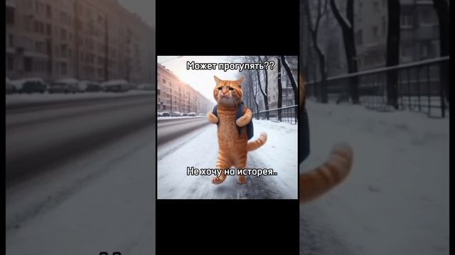 VID-20231109-WA0023.mp4